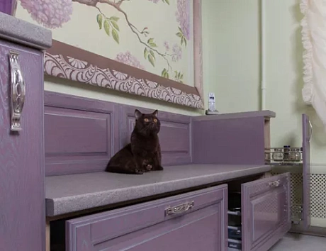 Фиолетовая кухня в Чите